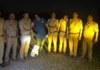ग्रेटर नोएडा: साकीपुर हत्याकांड का आरोपी वीर सिंह पुलिस मुठभेड़ में गिरफ्तार