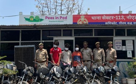 नोएडा पुलिस की बड़ी कार्रवाई, वाहन चोरी और मोबाइल लूट करने वाले 3 शातिर बदमाश गिरफ्तार