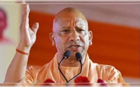 योगी सरकार की नई डेयरी क्रांति, गांव की महिलाएं अब मोबाइल से संभालेंगी करोड़ों का कारोबार