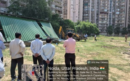 नोएडा प्राधिकरण का बड़ा बुल्डोजर एक्शन, 5000 वर्गमीटर जमीन पर चला पीला पंजा; अवैध प्लाटिंग ध्वस्त