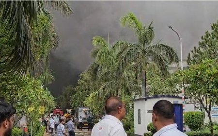 नोएडा की स्पार्क मिंडा कंपनी में भीषण आग, मौके पर पहुंचीं एक दर्जन से ज्यादा दमकल गाड़ियां