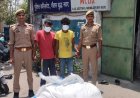 नोएडा जोन फेज 1 पुलिस द्वारा दो गांजा तस्कर को किया गिरफ्तार