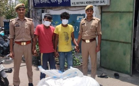 नोएडा जोन फेज 1 पुलिस द्वारा दो गांजा तस्कर को किया गिरफ्तार