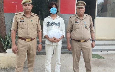 नोएडा थाना फेज 2 पुलिस द्वारा गांजा तस्कर गिरफ्तार