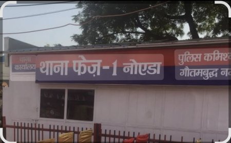 थाना फेज 1 के अंतर्गत आने वाली पुलिस चौकी सेक्टर 16 क्षेत्र मे महिला से लूट