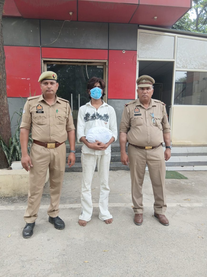 नोएडा थाना फेज 2 पुलिस द्वारा गांजा तस्कर गिरफ्तार
