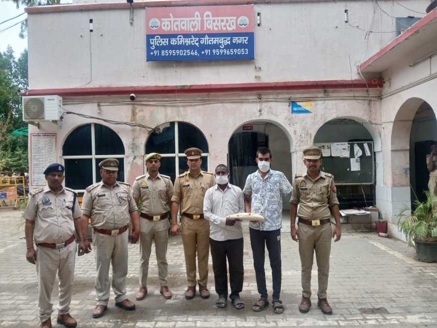 ग्रेटर नोएडा थाना बिसरख पुलिस ने हाथी दाँत की तस्करी करने वाला अभियुक्त गिरफ्तार किया