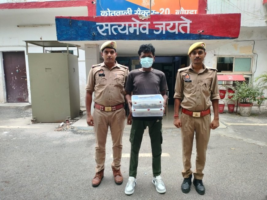 मोटी रकम देख नौकर के मन मे आया लालच कर दी घटना
