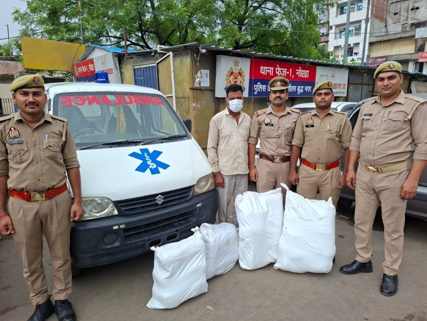 थाना फेज 1 पुलिस द्वारा गांजा तस्कर को किया गिरफ्तार